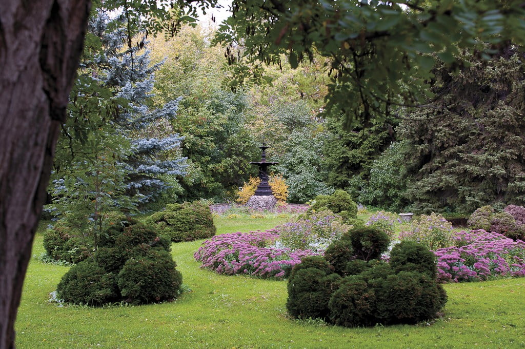 парк Нескучный сад - фото 1