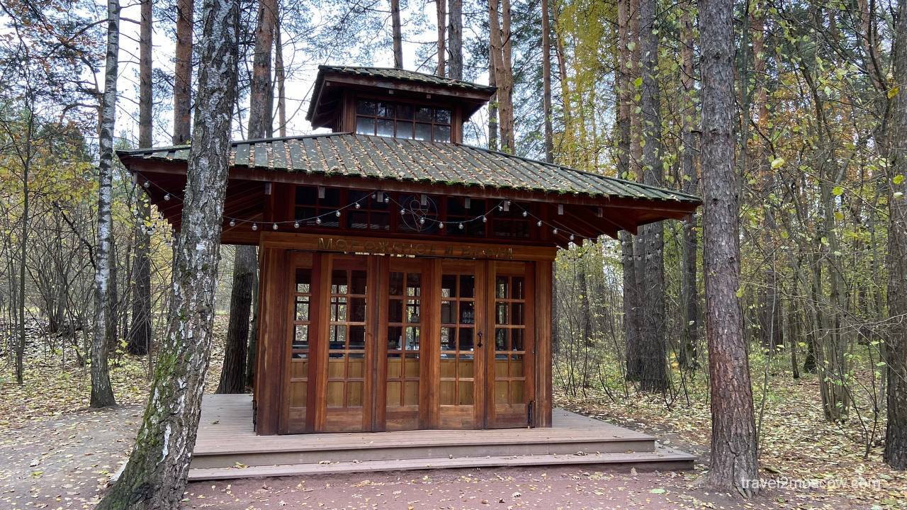 Чайная в Мещерском парке