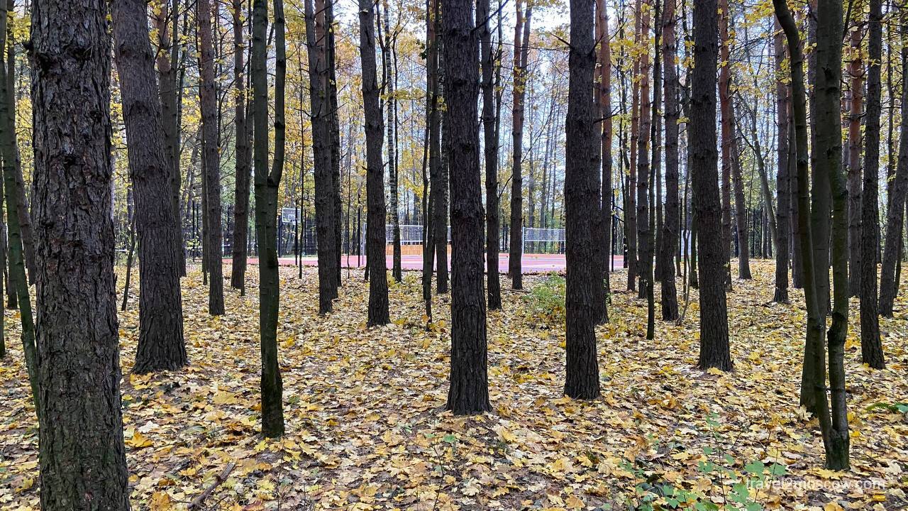 Мещерский пруд - спортплощадка