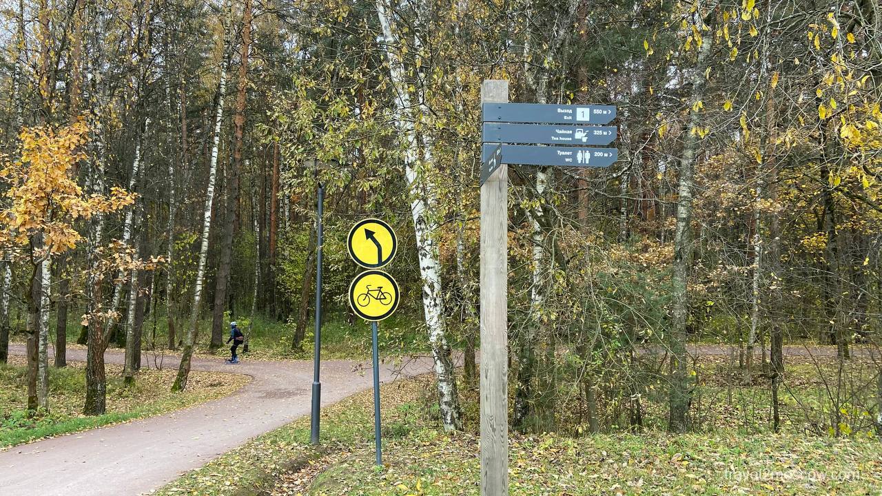 Чайная в Мещерском парке