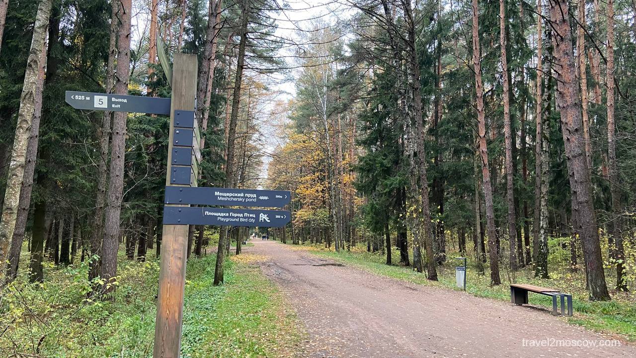 Мещерский пруд с пляжем