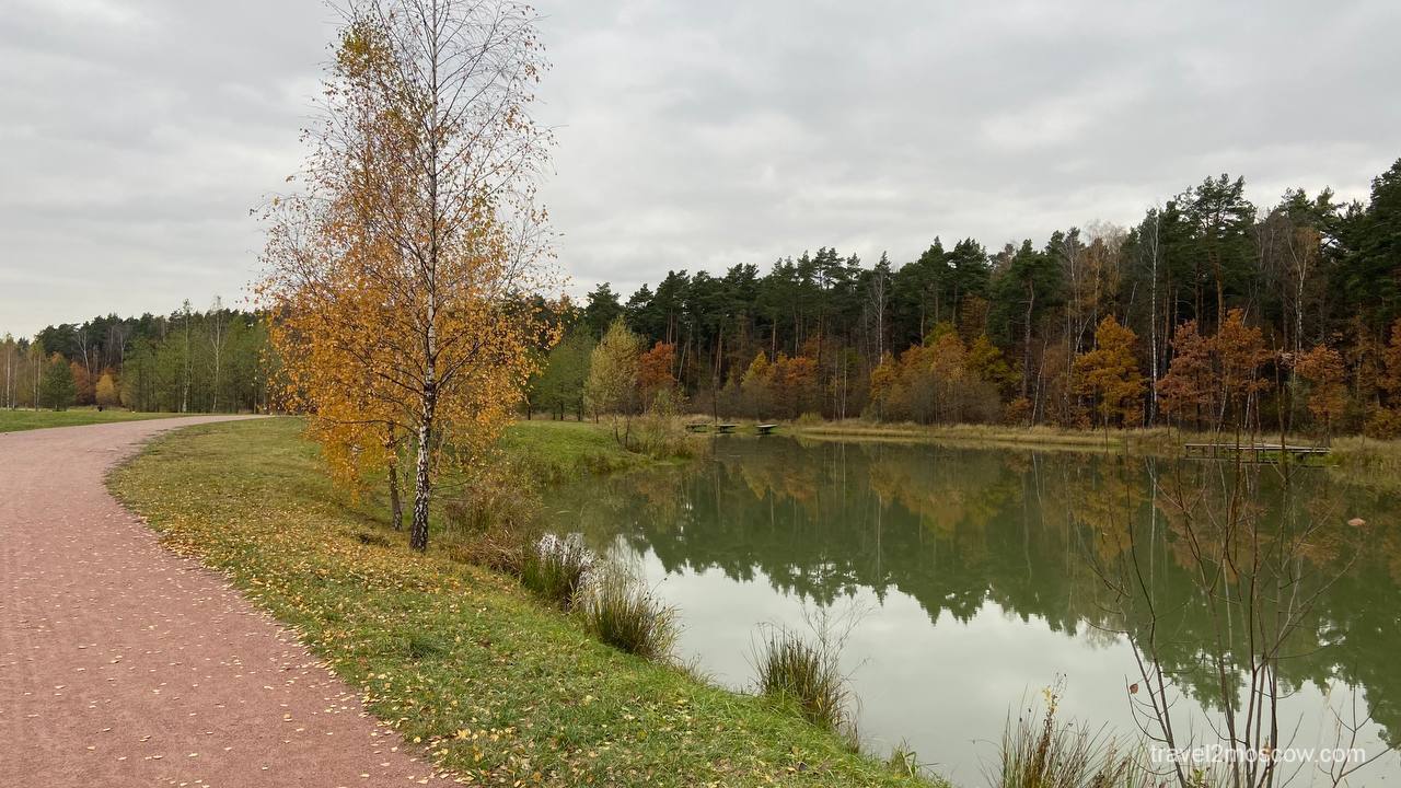 Малые озера Мещерского парка