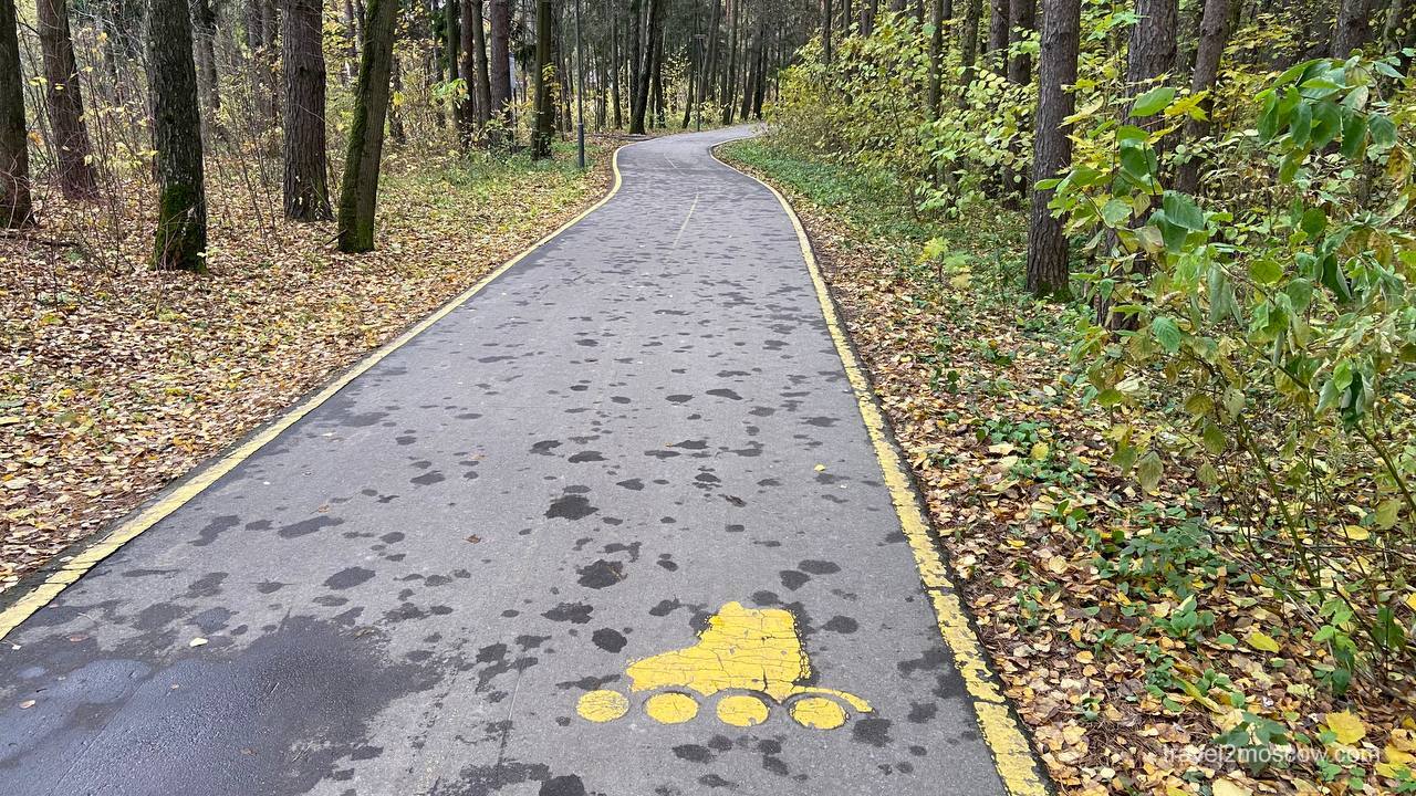 Велопрокат в Мещерском парке
