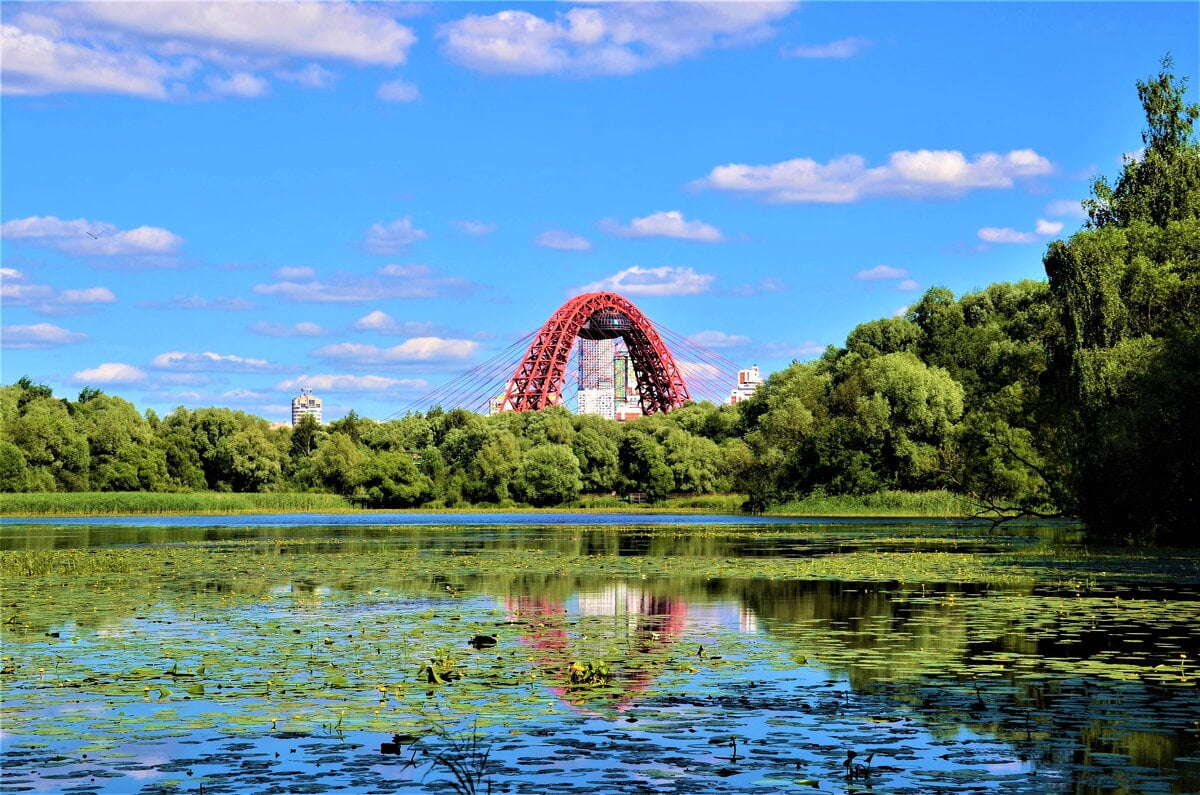 Картинки серебряный бор москва