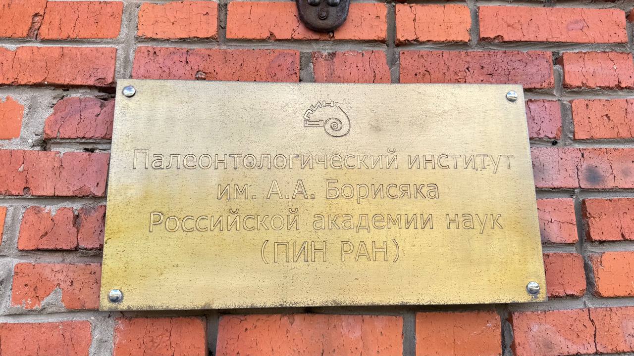 Палеонтологический музей Орлова в Москве 7