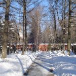 Общий вид аллей Новодевичьего кладбища в Москве