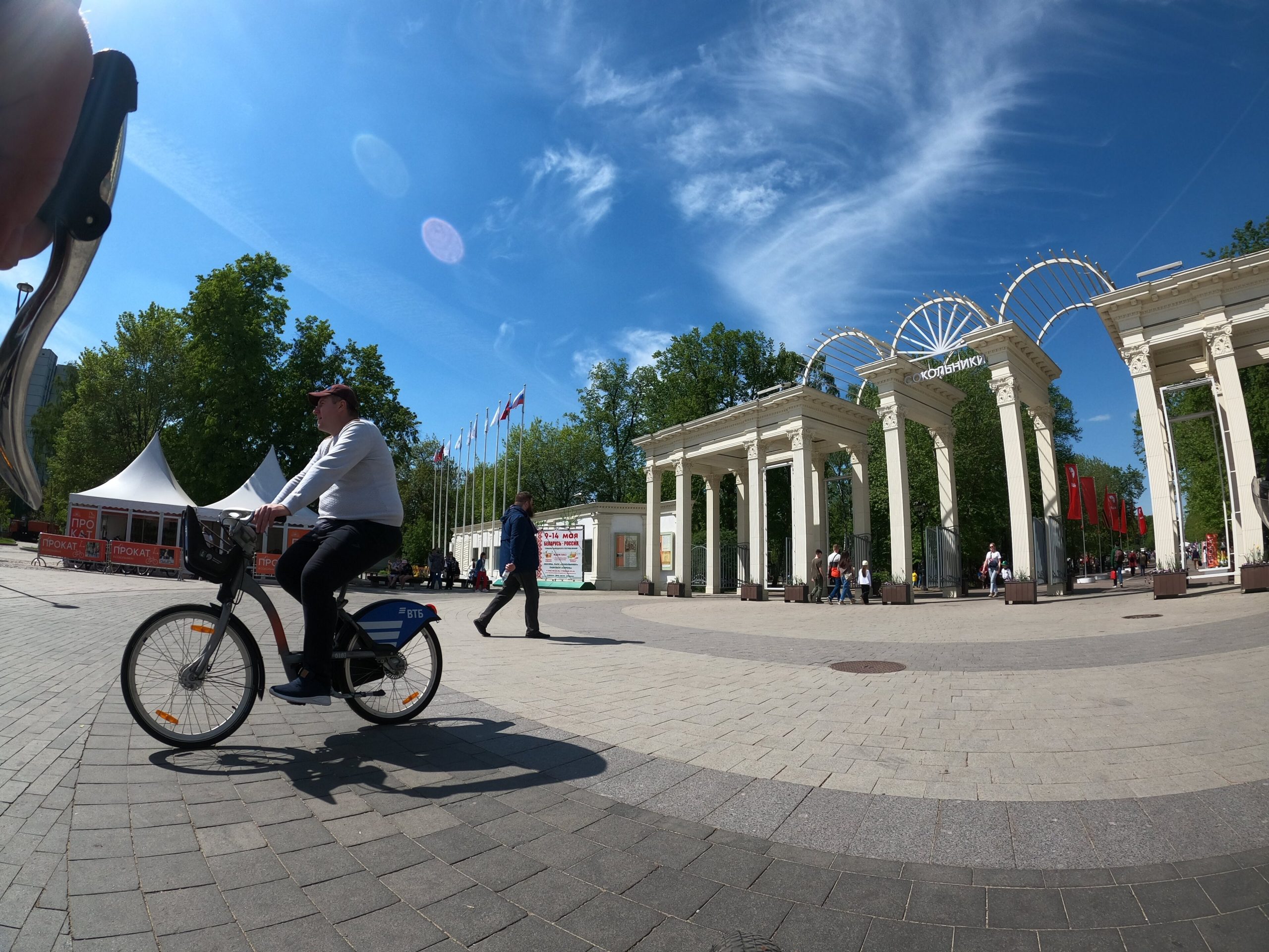 Аллея парка Сокольники весной, деревья с молодой листвой и пешеходная дорожка