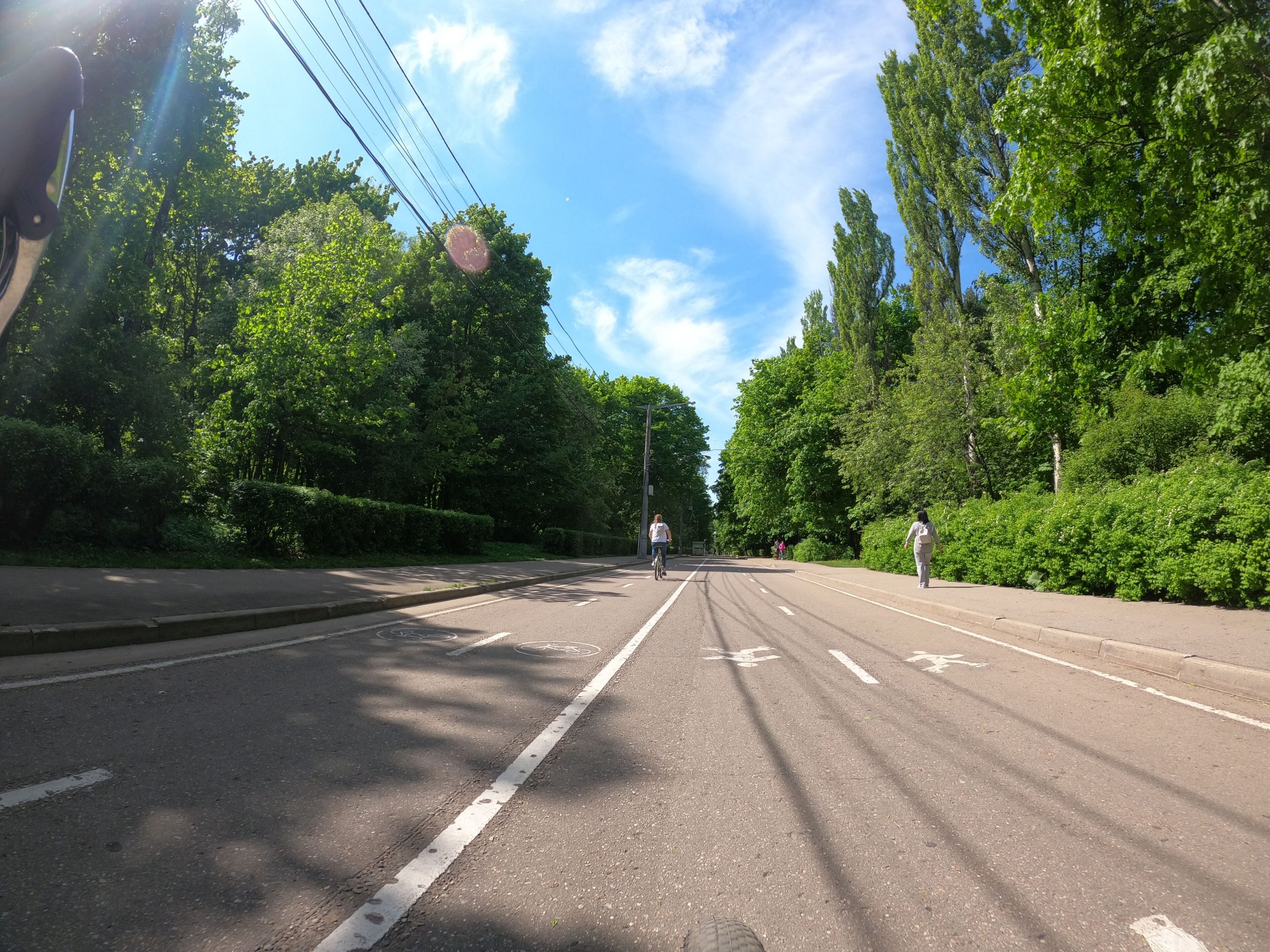 Дорожки и зелень в глубине парка Сокольники